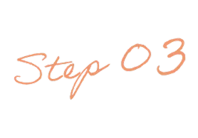 Step 03